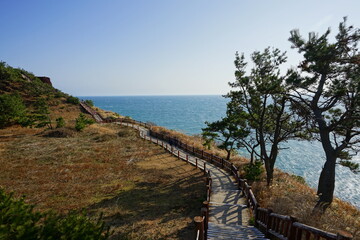 Fototapeta na wymiar walkway at seaside cliff
