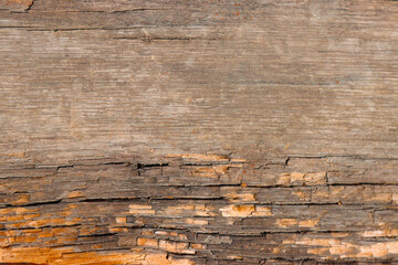 Surface texture of old wood.