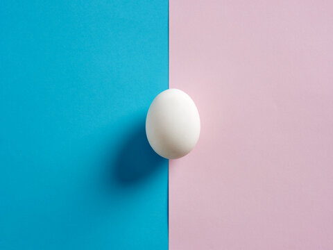 One White Egg On Pink And Blue Duotone Background.