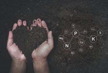Top view of soil in hand, concept of land development for cultivation, environmental conservation, fertility, constituents and minerals in the soil.