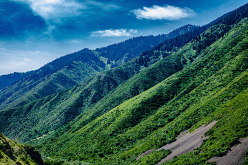 Naklejka premium landscape with mountains