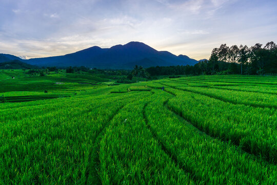 views of rice fields, mountains and the morning sun in Indonesia