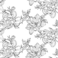 Pencil drawing of a Floral Seamless pattern. Magnolia flowers on a white background. Textile composition, hand drawn print. Texture background for creativity and advertising.