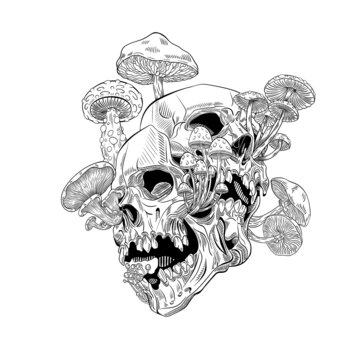 Magic Psychedelic Mushrooms and skull. Hand drawn style print. Isolated sketch. Texture background for creativity and advertising