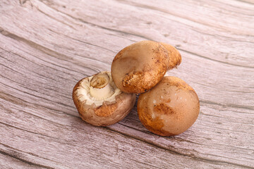Raw brown champignons mushroom heap