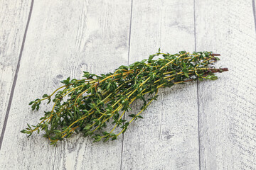 Fresh green Thyme branch heap