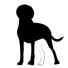 dog doodle silhouette on white background, isolated, vector