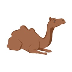 Editable vector illustration of the camel. EPS10