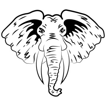 Editable vector clipart of the elephants head. EPS10