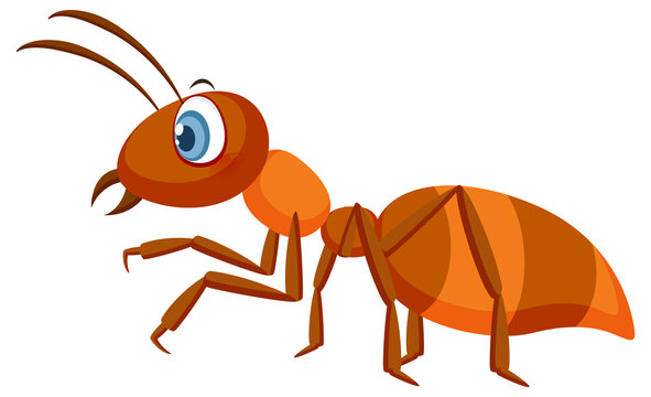 Cartoon ant isolated on white background