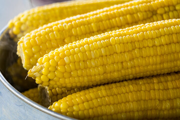 Closeup of Boiled Sweet Corn on street market