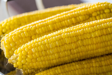 Closeup of Boiled Sweet Corn on street market