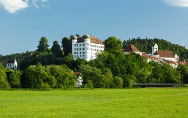 Fototapeta na wymiar Panorama der Stadt Mühlheim an der Donau (Kreis Tuttlingen)