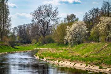spring on the river