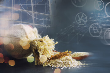 World grain crisis. A handful of cereals on a dark background.