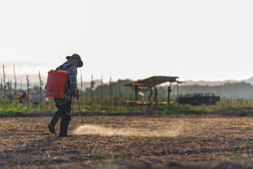 Farmers are using chemical sprayers on their farm fields. to prevent insects To nourish plants. Use of agricultural chemicals.