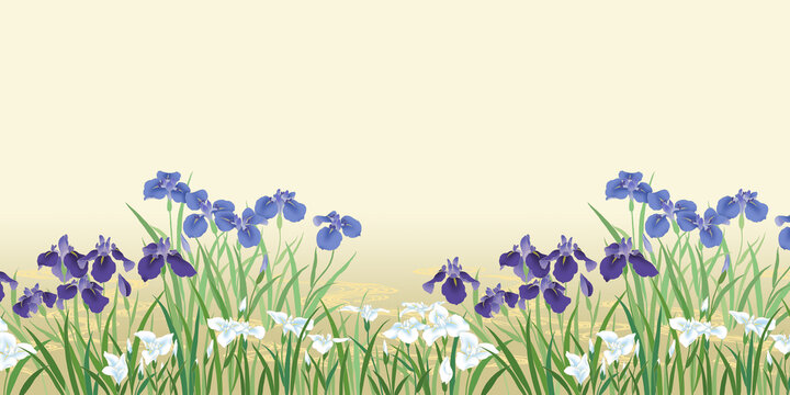 菖蒲 Images Browse 12 367 Stock Photos Vectors And Video Adobe Stock