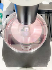 A cell culture Petri dish on a microscope stage. Seen from the top. 