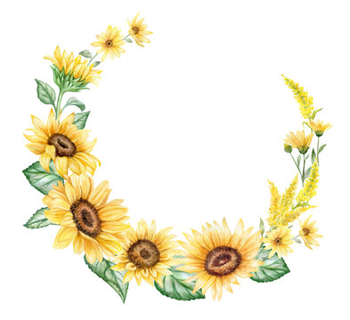 Sunflowers with wildflowers, flower wreath, ring, frame. Flowers  elements. Bouquet. Watercolor Illustration