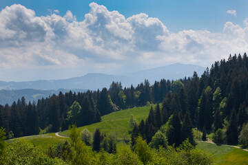 Idyllic spring landscape with green meadows of Bregenz, Austria