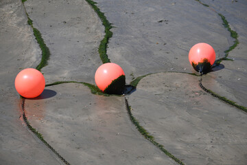 Buoys on the beach at Gorran Haven Cornwall