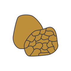 Truffle icon in color, isolated on white background 