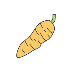 Yucca, tuber, food icon in color, isolated on white background 