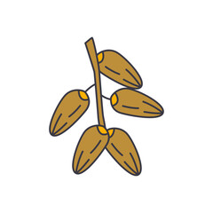 Dates icon in color, isolated on white background 