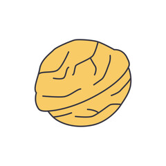 Walnut icon in color, isolated on white background 