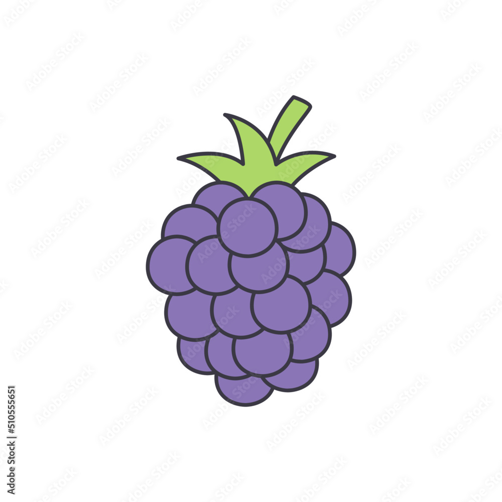 Poster Blackberry fruit icon in color, isolated on white background 