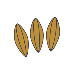 Caraway icon in color, isolated on white background 