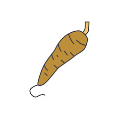 Yucca, tuber, food icon in color, isolated on white background 