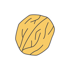 Walnut icon in color, isolated on white background 