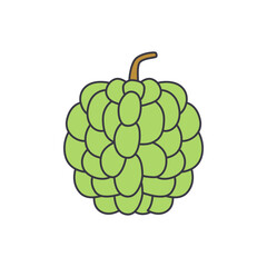 Custard apple fruit icon in color, isolated on white background 