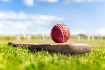 Fototapeta Cricket ball on top of cricket bat on green grass of cricket ground background obraz