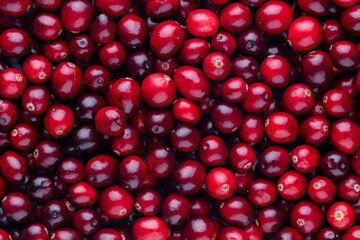 Cranberry bio background, food background.