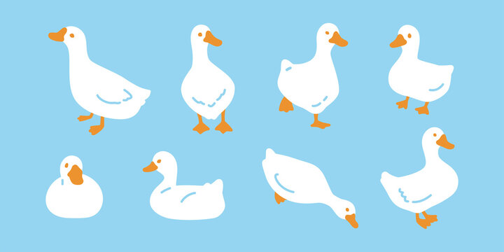 duck vector icon bird goose shower logo bathroom chicken farm character cartoon symbol isolated doodle illustration design