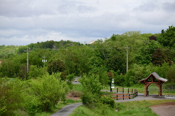 landscape in the village