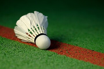 The shuttlecock for playing badminton lies on the green surface of the sports ground.