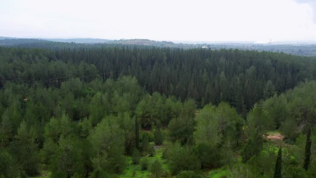 Aerial Forward Shot Of Ben Shemen Forest On Hills Against Cloudy Sky