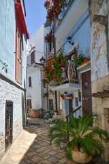 Fototapeta na wymiar A small street in Casamassima, a village with blue-colored houses in the Puglia region of Italy.