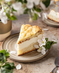 A piece of homemade cottage cheese pie or cheesecake on brown background decorated with blooming apple tree flowers
