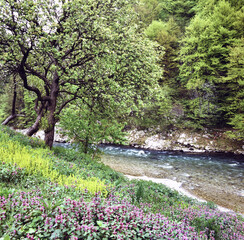 Bergfluss