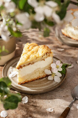 A piece of cottage cheese pie on brown background decorated with blooming apple tree flowers in hard light with beautiful shadows