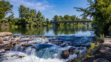 the river in the forest