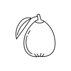 Medlar fruit icon in line style icon, isolated on white background