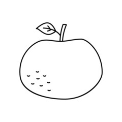 Tangerine fruit icon in line style icon, isolated on white background