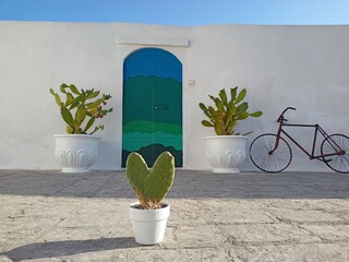 Blue door in Ostuni  and a heart shaped cactus