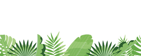 Naklejka premium Seamless border of tropical leaves. Vector image . Image on a white background.