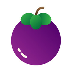 Mangosteen Fruit Icon